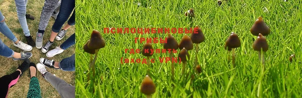 соль курить ск Магадан